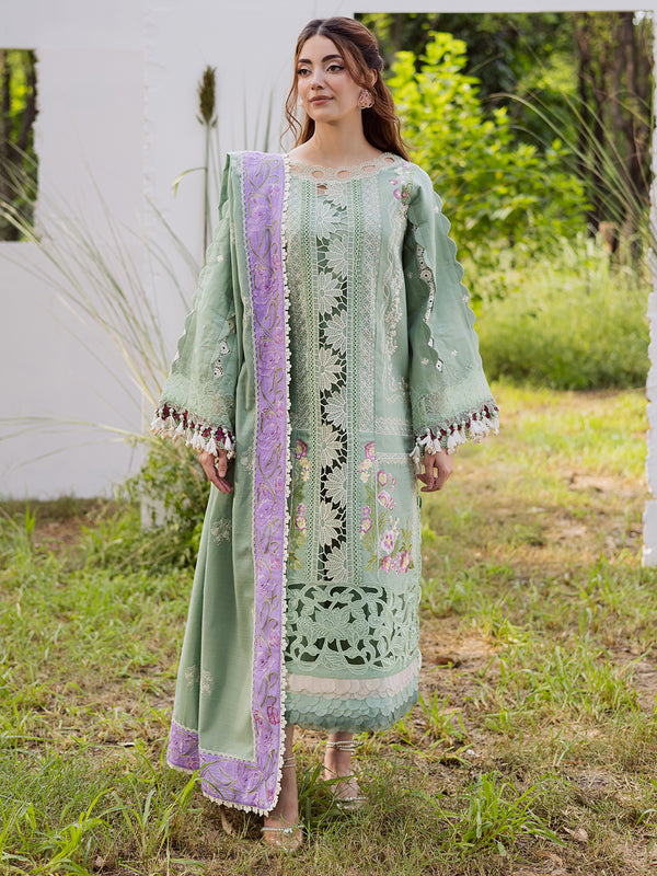 WW - 09 | 3 PC Khaddar